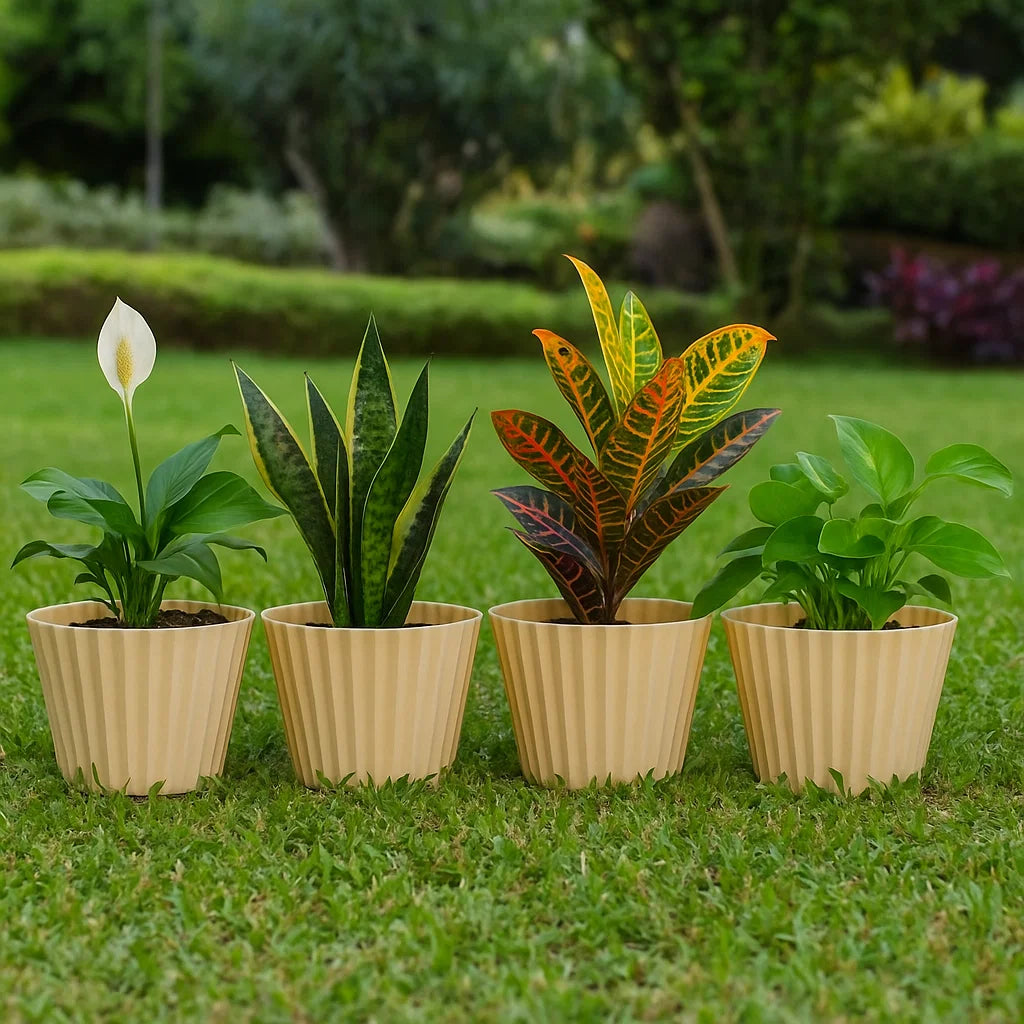 plastic pots for plants online Buy Blossom Plastic Planter Pot for Indoor and Outdoor Plants Online