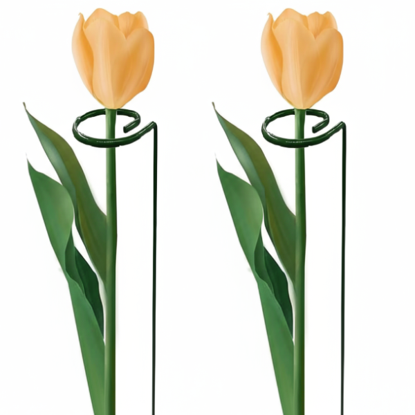 Garden Plants Support Stakes- Sturdy Metal Construction for Strong and Healthy Garden Plants (Pack Of 2)