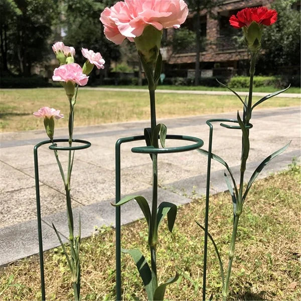 Garden Plants Support Stakes, Sturdy Metal Construction for Strong and Healthy Garden Plants (Pack Of 2)