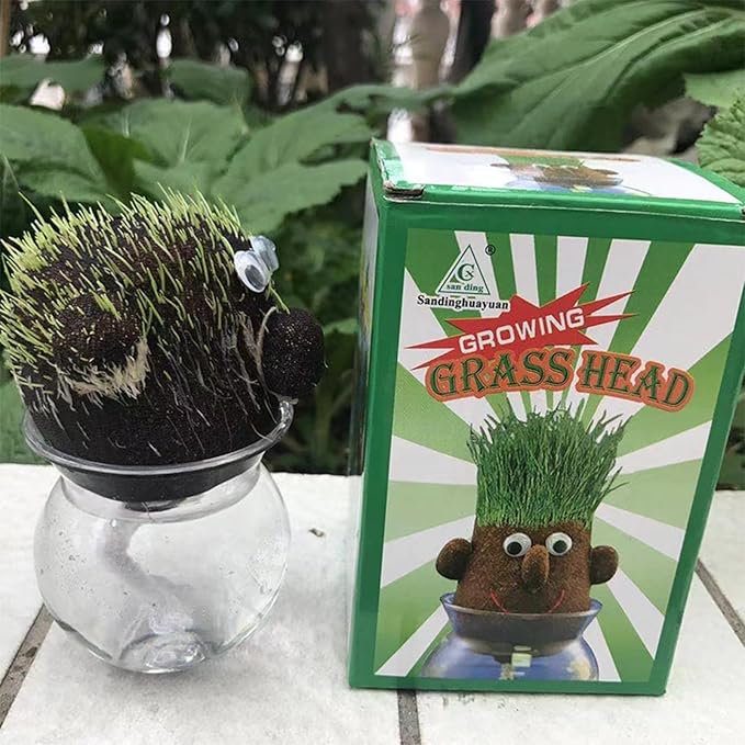 Grass Head Doll Plant – Fun Growing Toy with Real Sprouting Grass (Pack of 1 Pc)