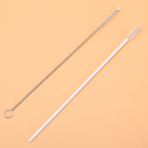 Two thin brushes for cleaning small openings, one metal with bristles, one white plastic with bristles. cleaning brush, small, detail, household.