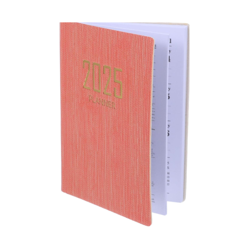 Pocket Planner 2025 – Weekly & Monthly Daily Planner 2025