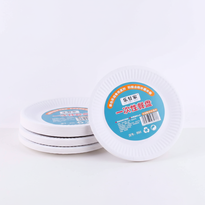 8 Pcs Disposable Plates – Lightweight & Convenient Party Tableware for Snacks, Meals & Events