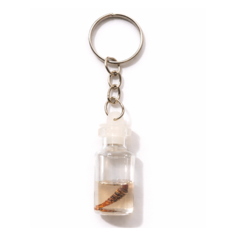 12 Pcs Mini Glass Bottle Charm Keychain – Cute Decorative Key Rings