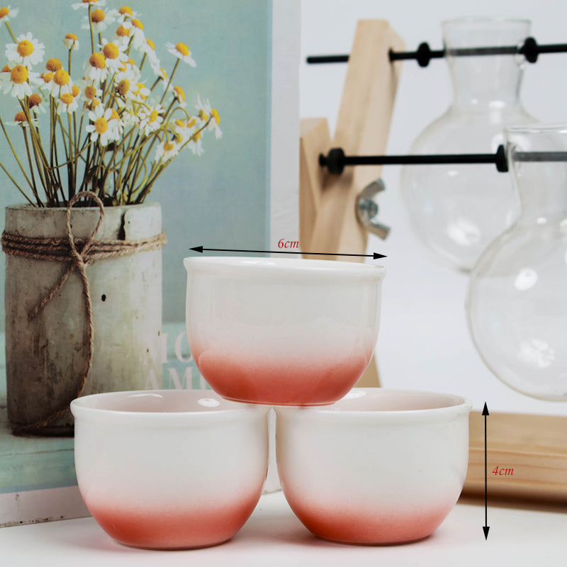 Glaze Red Ceramic Cup
