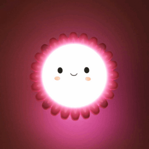 Smiley Sun Shaped LED Night Lamp (Random Colors)