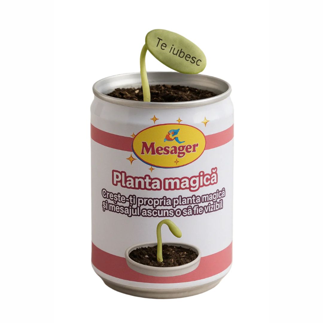 Interactive Magic Message Plant – Fun Gift & Personalized Plant Surprise ( Pack of 1 )
