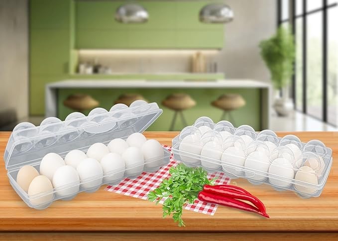 Transparent Plastic Egg Storage - 12 Grid Egg Tray (Pack of 1)