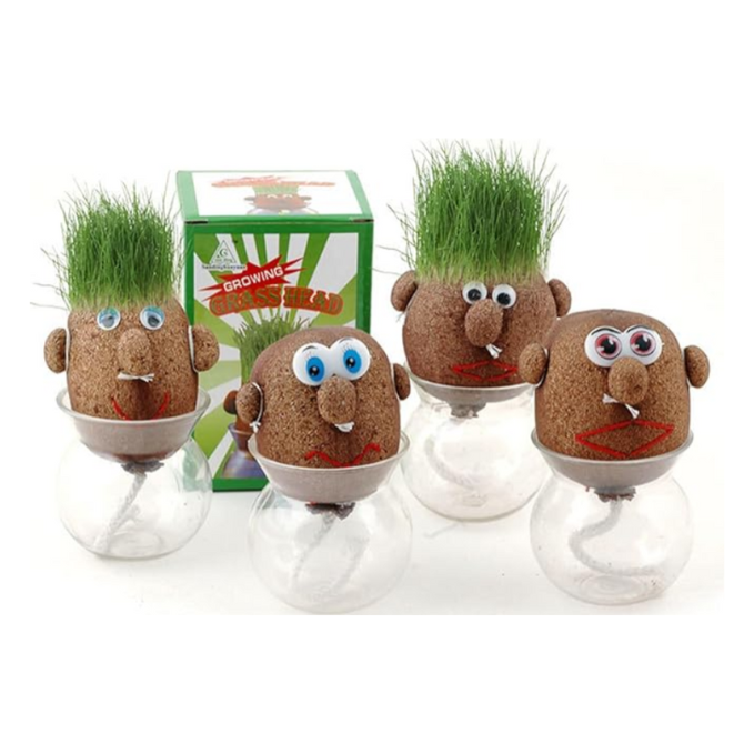 Grass Head Doll Plant – Fun Growing Toy with Real Sprouting Grass (Pack of 1 Pc)