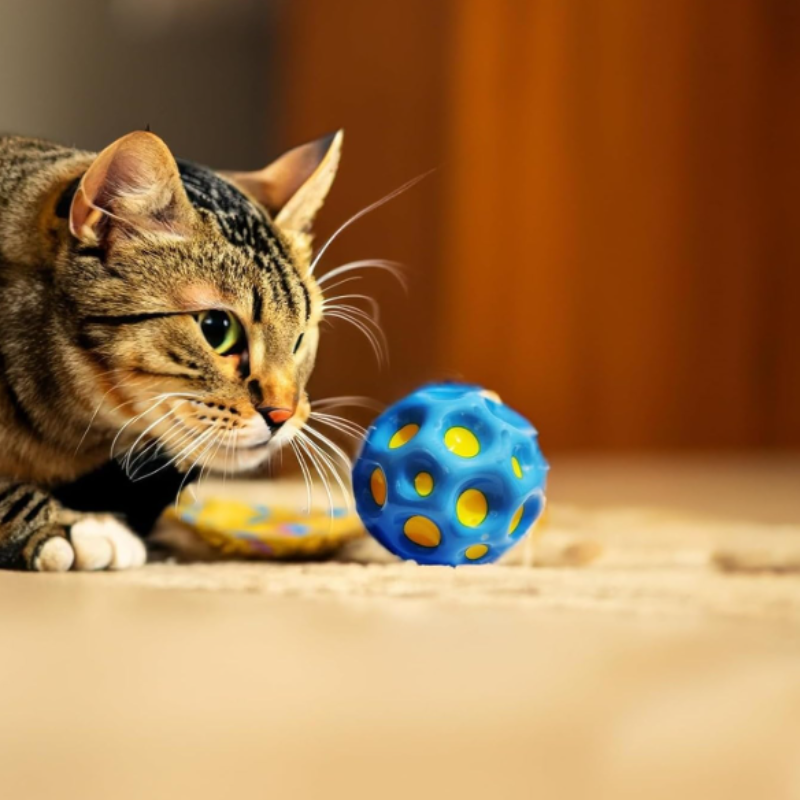 Bouncy Moon Ball for Kids – High Bounce Rubber Toy for Indoor & Outdoor Play (Random Color- Pack of 1)