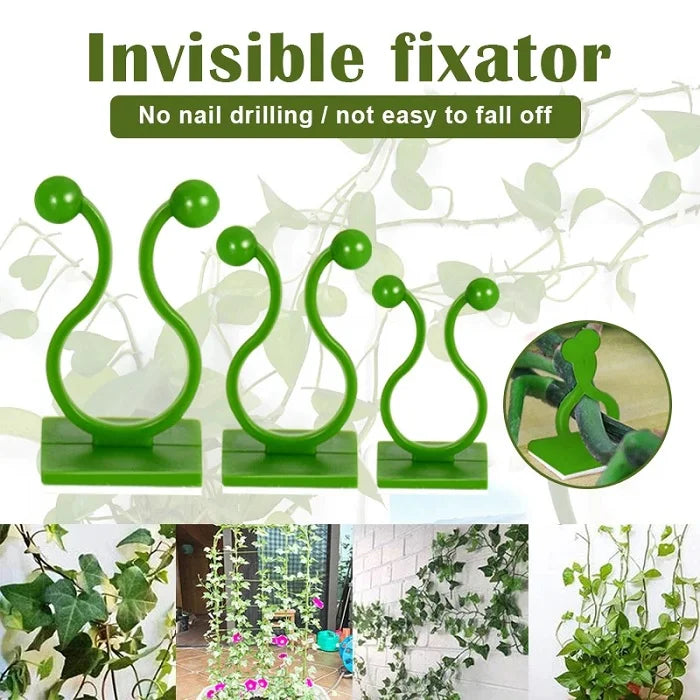 30pcs Climbing Plants Wall Clips (Large Size), Vine Plant Climbing Fixing Clip Hook Invisible Plant Clips for Climbers Plant Wall Clips Plant Support Binding Clip