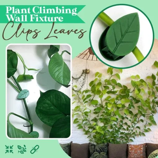 Green color plant climbing wall fixture clips is used in plants.