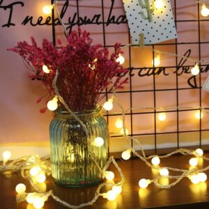 Close-up view of the 20 LED Globe String Lights showcasing the individual plastic bulbs with a warm white glow and the black string for easy hanging.