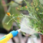 The manual watering device spray being used on various houseplants, including delicate flowers and leafy greens.