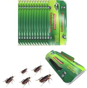 Multiple Cockroaches Trapped on Sticky Surface of Disposable Trap Pad | Multi-Catch Design Eliminates Multiple Cockroaches